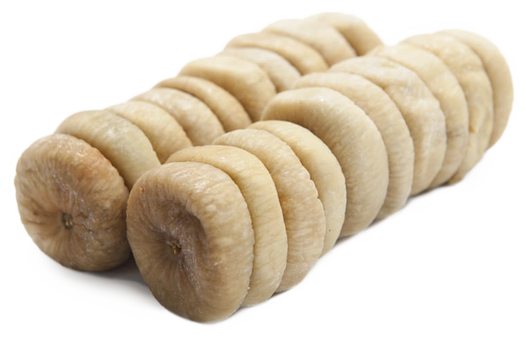 Lerida
